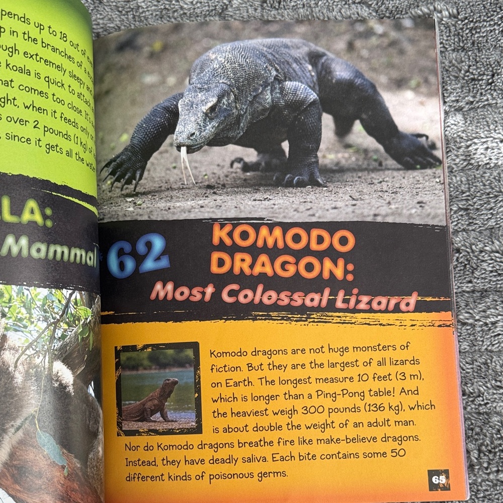Scholastic 101 Animal Records Paper Back Book - Picture 8 of 10